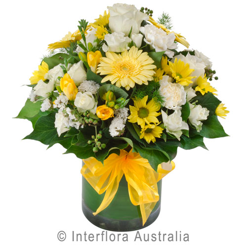 345 - The Lush Lily - Brisbane & Gold Florist Flower Delivery - Carindale, Loganholme Brisbane Gold flowers online