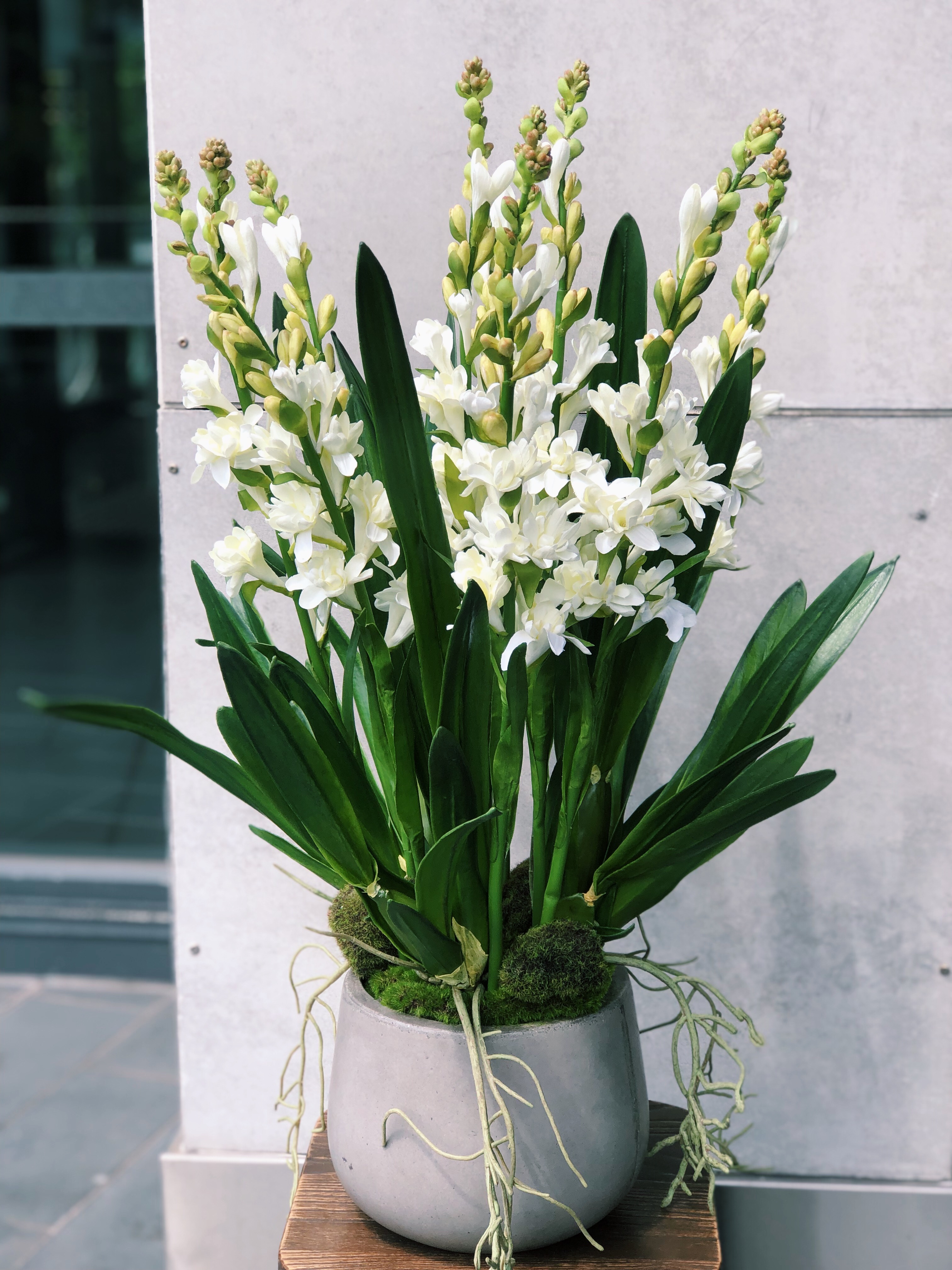 Tuberose Arrangement The Lush Lily Brisbane Florists Carindale, My