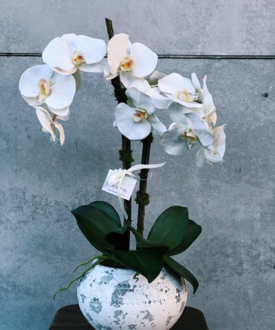 Double Stem Silk Orchid Arrangement