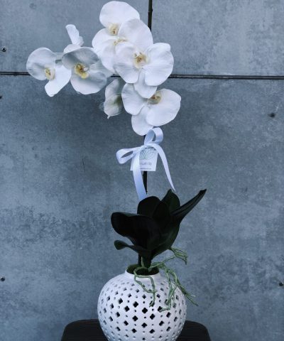Silk Single White Phalaenopsis Orchid in Ginger Jar