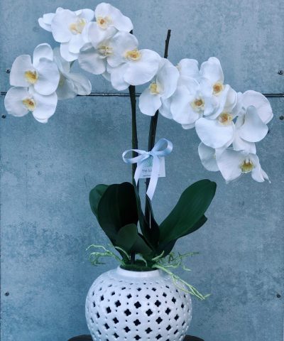 Silk Double White Phalaenopsis Orchid in Ginger Jar