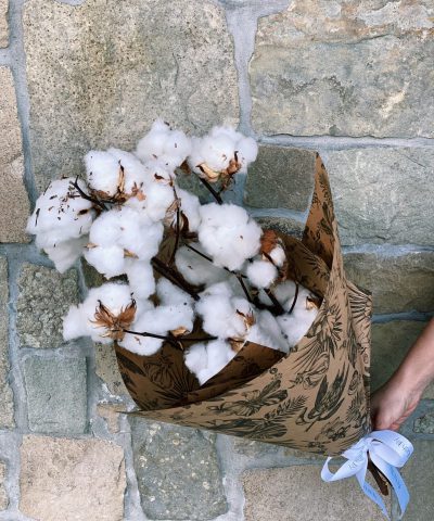 Cotton Bunch
