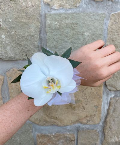 Phalaenopsis Orchid Corsage