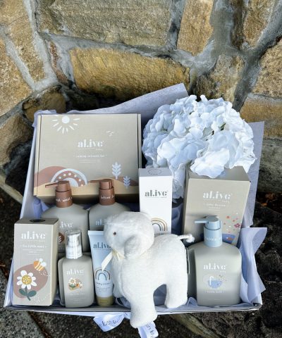 New Baby Essentials Hamper