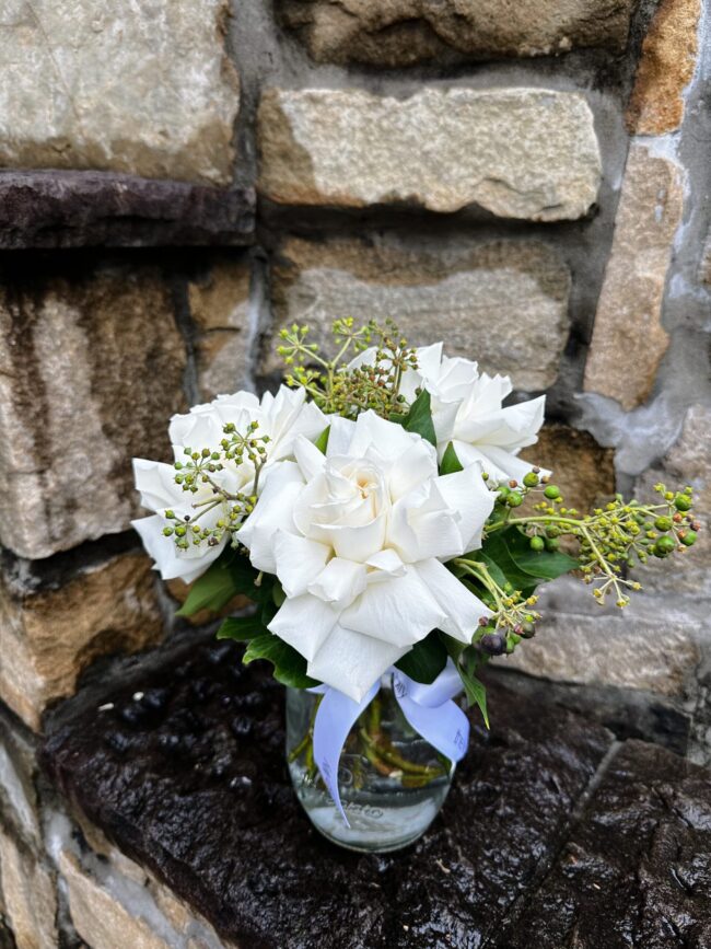 Dreamy White Roses