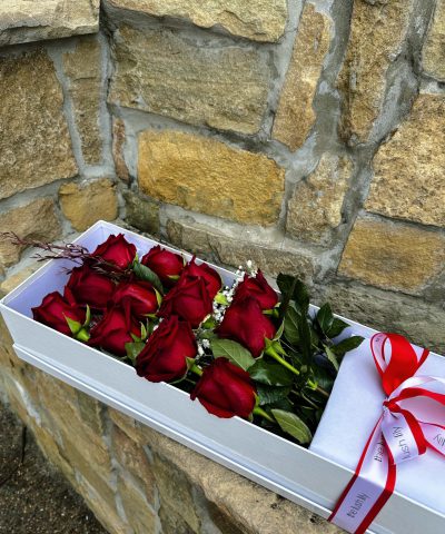 Timeless Dozen long stem red roses in luxury long box – Brisbane florist