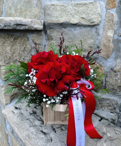 Scarlet Sweetheart