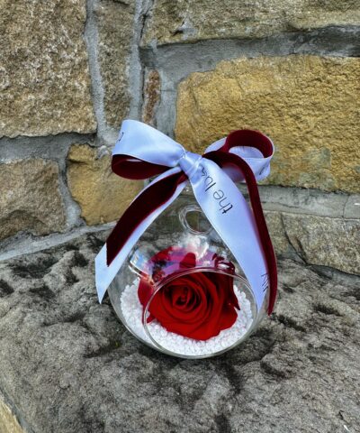 everlasting preserved red rose in glass dome gift