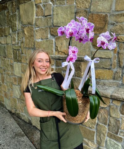 Double Pink Orchid Stem Plant