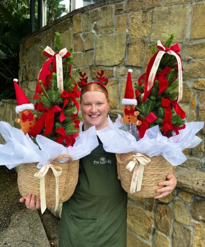 Fresh Christmas trees in woven baskets decorated with red ribbons and festive accents, held by a Lush Lily florist.