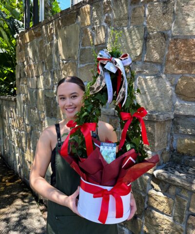 The Ivy Christmas Tree – Fresh Living Topiary in Hatbox