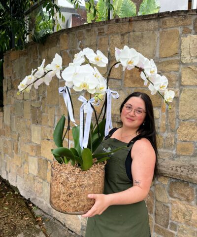 White orchid bowl arrangement in decorative pot – elegant indoor plant gift Brisbane florist The Lush Lily