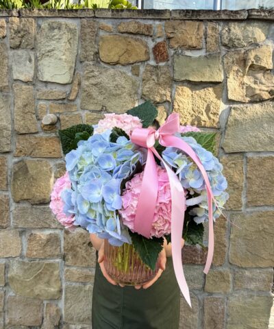 Heavenly Hydrangea